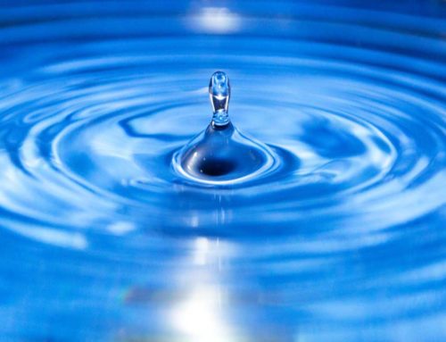 A água e o viver sustentável