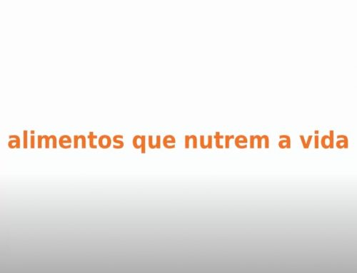 Criando filhos: Alimentos que nutrem vida.